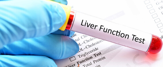 Liver Function Test