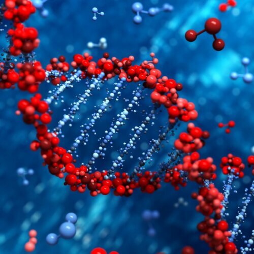 Molecular pathology in a testing view